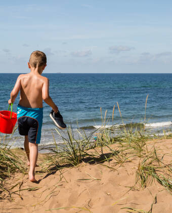 Tisvildeleje Strand, a short drive away, offers sandy beaches and summer fun.