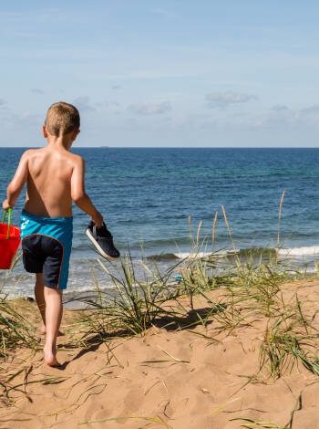 Tisvildeleje Strand med sandstränder och sommarnöjen ligger endast en kort bilresa bort.