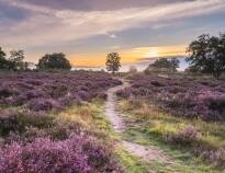 Der Naturpark Lüneburger Heide erstreckt sich über eine Fläche von mehr als 100 Quadratkilometern. Hier können Sie unberührte Natur erleben und eine Vielzahl von Tier- und Pflanzenarten entdecken.