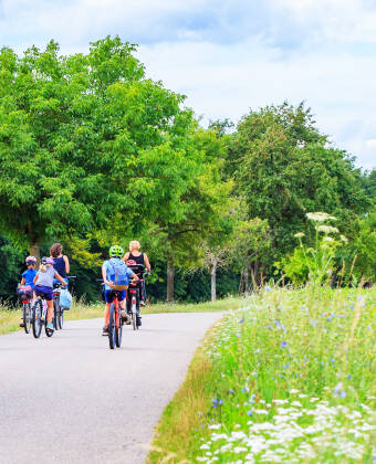 Beliggenheden er fantastisk for naturelskere. Det er et ideelt udgangspunkt for cykelture og udendørs udforskning.