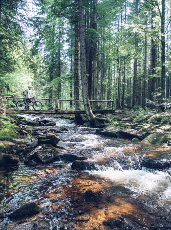 Erkunden Sie malerische Bäche und ruhige Naturseen in der schönen Region Pohorje.
