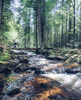 Explore picturesque streams and serene natural lakes in the beautiful Pohorje region.