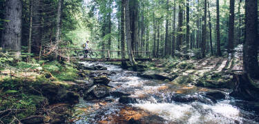 Udforsk maleriske vandløb og fredfyldte naturlige søer i den smukke Pohorje region.