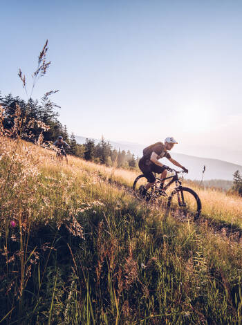 Experience outdoor adventures like hiking, e-biking, mountain biking, or downhill trails.