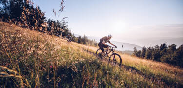 Erleben Sie Outdoor-Abenteuer wie Wandern, E-Biking, Mountainbiking oder Downhill-Strecken.