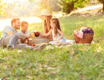 Genießen Sie einen Picknickkorb mit authentischen lokalen Spezialitäten für einen perfekten Ausflug.