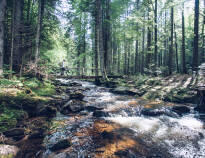 Erkunden Sie malerische Bäche und ruhige Naturseen in der schönen Region Pohorje.