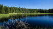 In der Gegend gibt es zahlreiche malerische Seen, wie den Schwarzen See (Črno jezero).