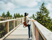 Erleben Sie den Pohorje Treetop Walk, eine inspirierende Reise über die Baumkronen mit Panoramablick und einer einzigartigen Perspektive der Natur.