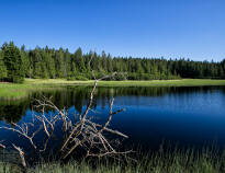 In der Gegend gibt es zahlreiche malerische Seen, wie den Schwarzen See (Črno jezero).