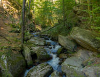 Lassen Sie sich von der Schönheit der Bistriški Vintgar-Schlucht überwältigen! Hier finden Sie kristallklare Bäche, die sich durch moosbedeckte Felsen und üppiges Grün schlängeln.