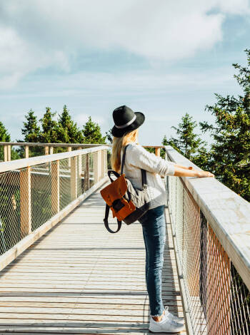 Erleben Sie den Pohorje Treetop Walk, eine inspirierende Reise über die Baumkronen mit Panoramablick und einer einzigartigen Perspektive der Natur.