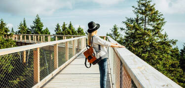 Erleben Sie den Pohorje Treetop Walk, eine inspirierende Reise über die Baumkronen mit Panoramablick und einer einzigartigen Perspektive der Natur.