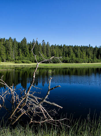 In der Gegend gibt es zahlreiche malerische Seen, wie den Schwarzen See (Črno jezero).