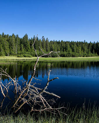 Området er fyldt med maleriske søer som Sorte Sø (Black Lake).