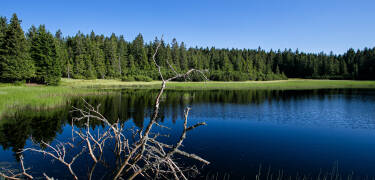 Området er oversådd med pittoreske innsjøer, som Black Lake (Črno jezero).