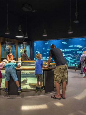 Explore Esbjerg’s connection to the sea at the fascinating Fiskeri- og Søfartsmuseet.
