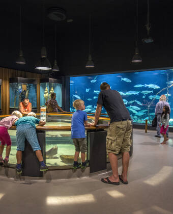 Entdecken Sie Esbjergs Verbindung zum Meer im faszinierenden Fischerei- und Seefahrtsmuseum.