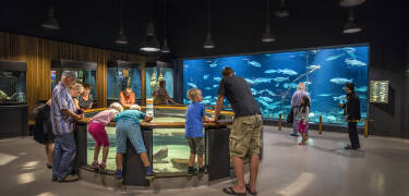 Explore Esbjerg’s connection to the sea at the fascinating Fiskeri- og Søfartsmuseet.