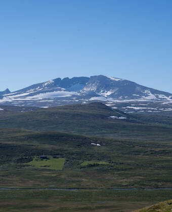 Wachen Sie mit einem atemberaubenden Blick auf die Snøhetta auf und erleben Sie ein wahrhaft unvergessliches norwegisches Erlebnis.