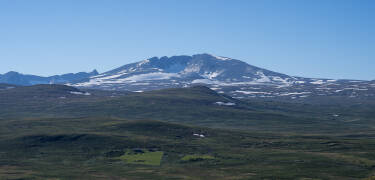 Wachen Sie mit einem atemberaubenden Blick auf die Snøhetta auf und erleben Sie ein wahrhaft unvergessliches norwegisches Erlebnis.