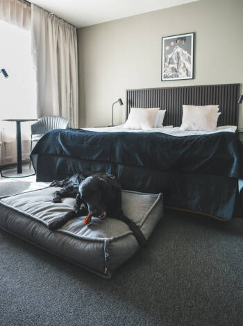 Kæledyrsvenlige værelser – hunde er velkomne.