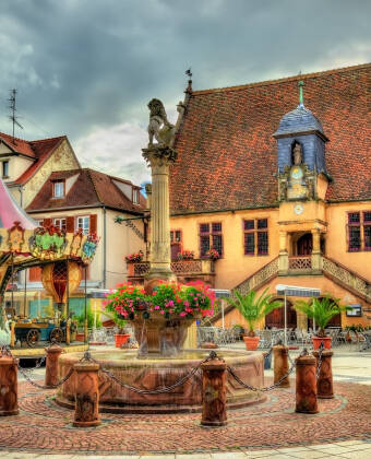 Besuchen Sie Molsheim, eine historische Stadt, die für ihre Weinkultur bekannt ist und nur eine kurze Autofahrt vom Hotel entfernt liegt.