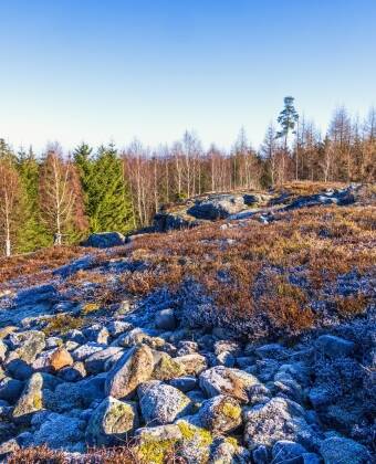 Entdecken Sie landschaftlich schöne Wanderwege und Naturgebiete wie Mösseberg und Ålleberg.