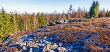 Entdecken Sie landschaftlich schöne Wanderwege und Naturgebiete wie Mösseberg und Ålleberg.