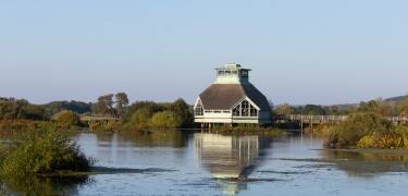 Ein perfekter Ausgangspunkt für den Besuch von Skara Sommarland, Hornborgasjön und weiteren Highlights der Region.