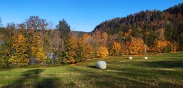 Entdecken Sie den Semsvannet-See und den Skaugumsåsen in malerischer Naturkulisse.