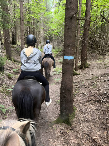 Prova ridning, skidåkning eller cykling i den vackra naturen i närheten.