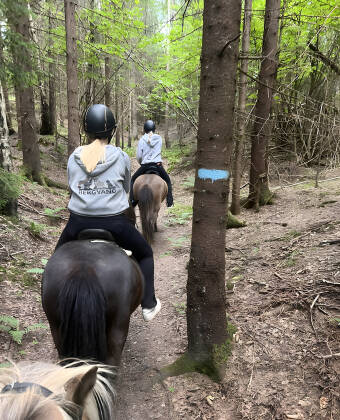 Prova ridning, skidåkning eller cykling i den vackra naturen i närheten.