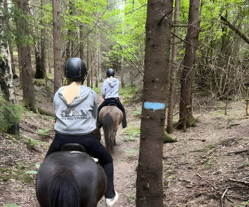 Prøv ridning, langrend eller cykling i den smukke natur.