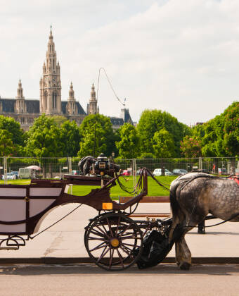 Explore Vienna’s timeless classic culture and historic streets.