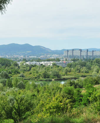 Relax and recharge in the vibrant Erholungsgebiet Wienerberg park.