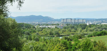 Relax and recharge in the vibrant Erholungsgebiet Wienerberg park.