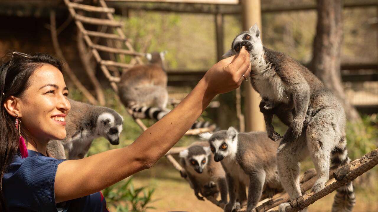 Tilbring en oplevelsesrig dag i Jesperhus Feriepark og Zoo.
