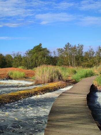 Explore the Soos National Nature Reserve with its rare landscapes and springs.