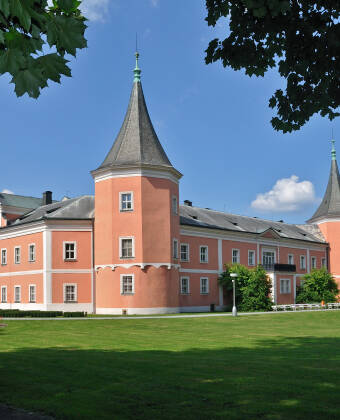 Besuchen Sie das historische Schloss Sokolov in der Nähe.