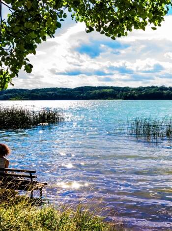 Njut av det unika läget med utsikt över sjön och lugnet i Märkische Schweiz.
