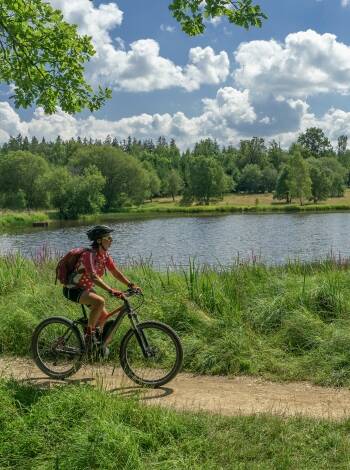 Oavsett om det gäller vandring, cykling, simning eller båtturer - din naturupplevelse börjar precis utanför dörren.