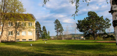 Genießen Sie einen ruhigen Aufenthalt inmitten von Grünflächen und weitläufigen Landschaften, nur einen kurzen Spaziergang vom Zentrum von Sollefteå entfernt.