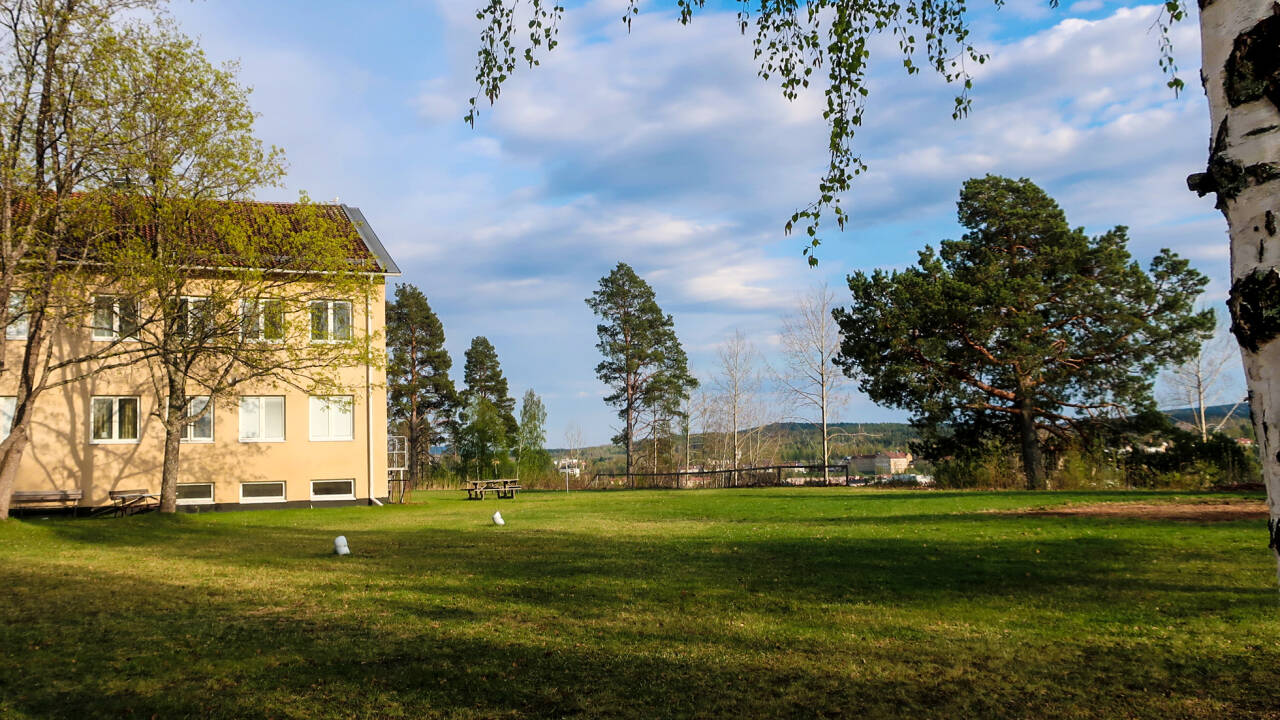 Genießen Sie einen ruhigen Aufenthalt inmitten von Grünflächen und weitläufigen Landschaften, nur einen kurzen Spaziergang vom Zentrum von Sollefteå entfernt.