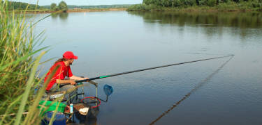 Try fishing or canoeing in the nearby rivers and scenic waterways.