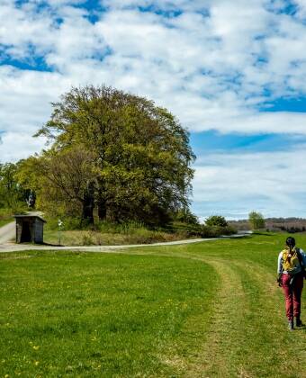 Wandern Sie durch sanfte Hügel, ruhige Wälder und Panoramawege entlang der Höhenzüge.