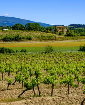 Genießen Sie die Aussicht auf die provenzalischen Hügel und das darunter liegende Dorf.