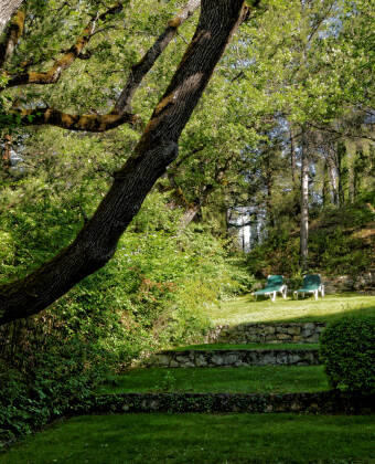 Breathe in the scent of pine and oak trees in a peaceful, shaded park.