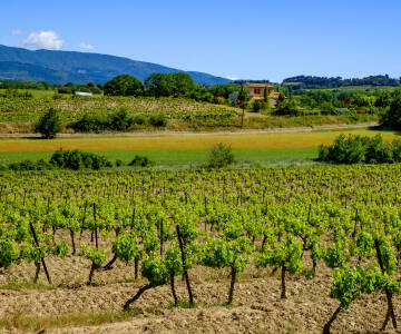 Njut av den vidsträckta utsikten över de provensalska kullarna och byn nedanför.