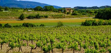 Genießen Sie die Aussicht auf die provenzalischen Hügel und das darunter liegende Dorf.